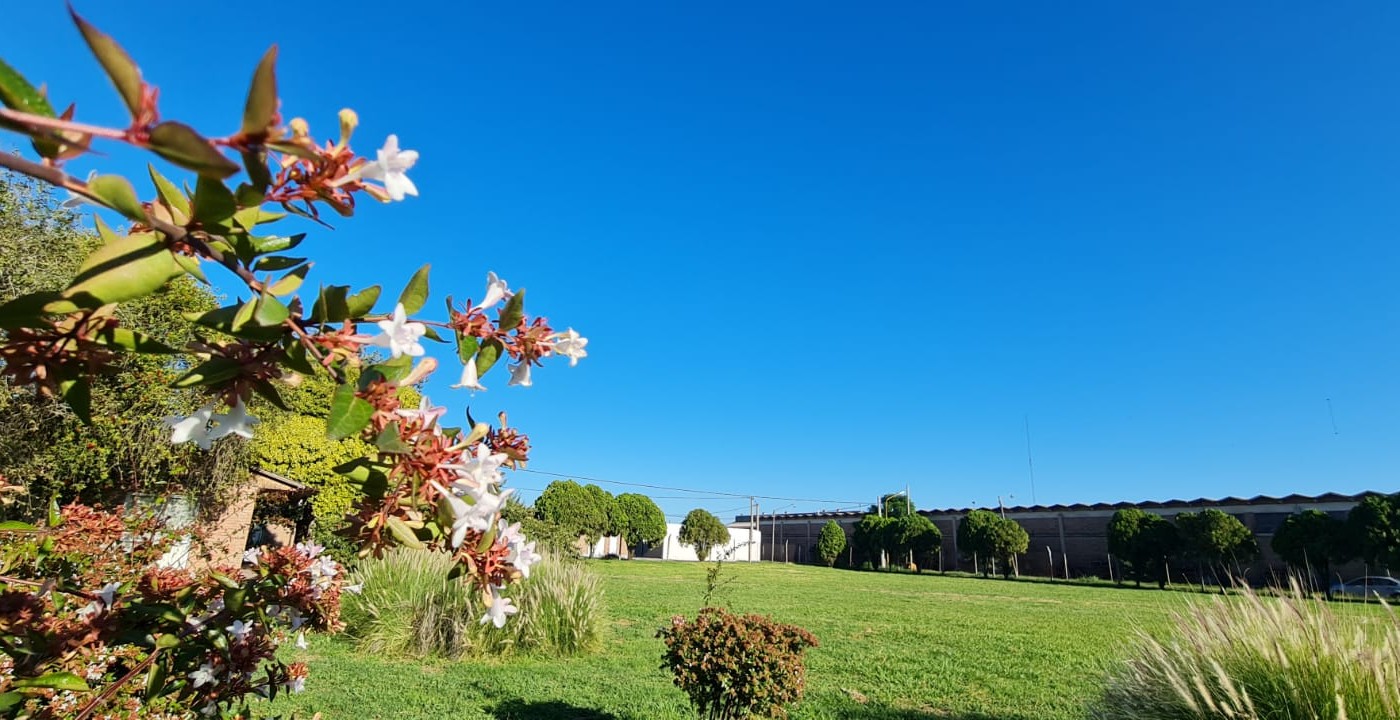 Martes con ascenso de temperatura | Córdoba