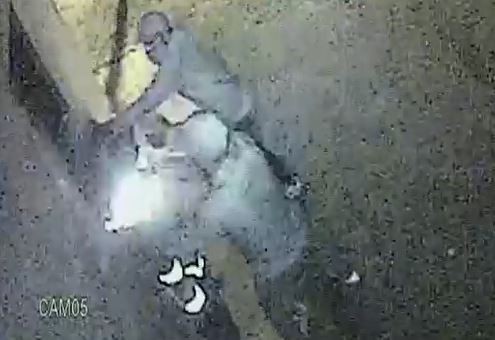 Video: Golpearon a un barrendero para robarle | Actualidad