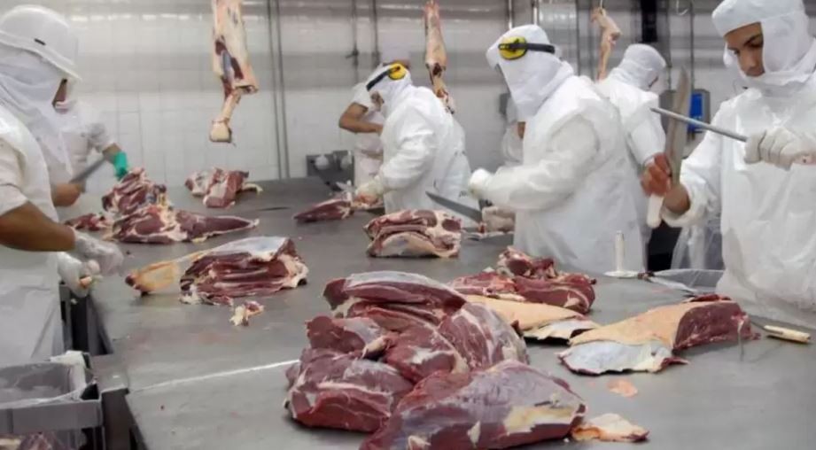 Advierten sobre un brote de “Fiebre Q” en un frigorífico de Entre Ríos | Actualidad