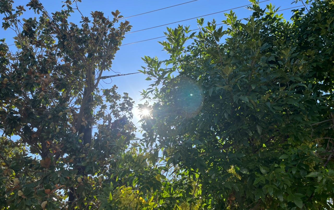 Domingo con ascenso de la temperatura | Córdoba