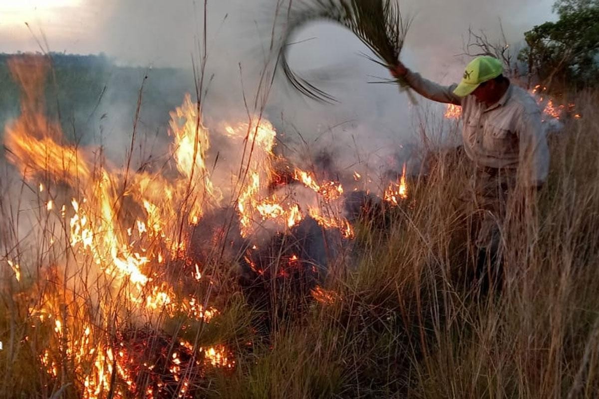 Incendios en Corrientes: las pérdidas ascienden a los $26 mil millones y ya hay 800 mil hectáreas quemadas | Actualidad