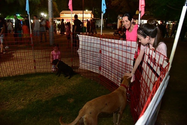 Villa María: adoptaron 120 animales en el marco de las peñas | Córdoba