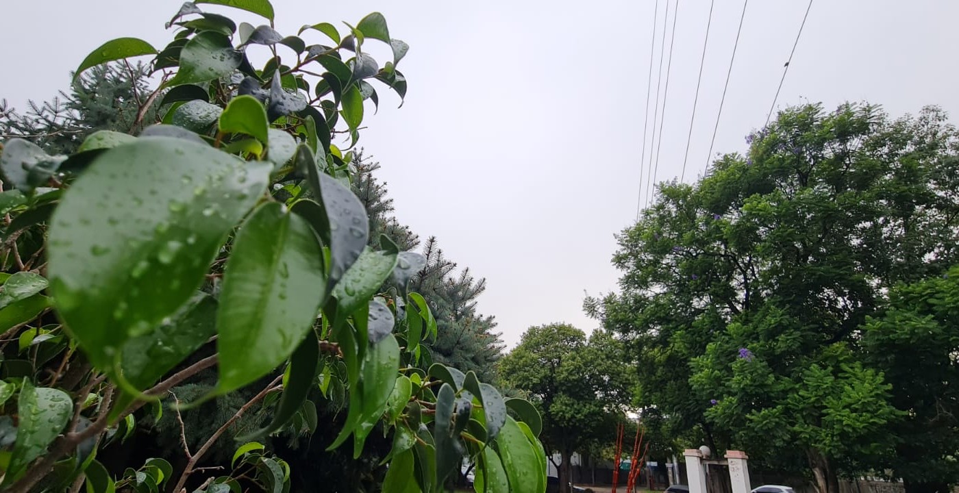 Tiempo inestable y alerta amarilla por tormentas fuertes para este sábado | Córdoba