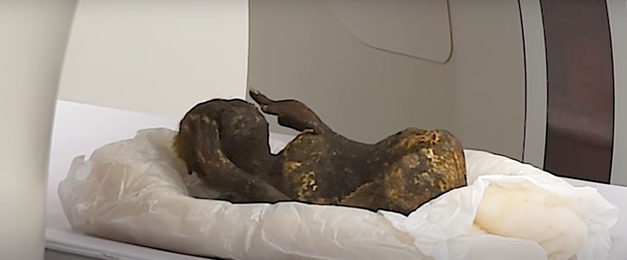 Misterio: científicos analizan una "momia sirena" de 300 años | Curiosidades