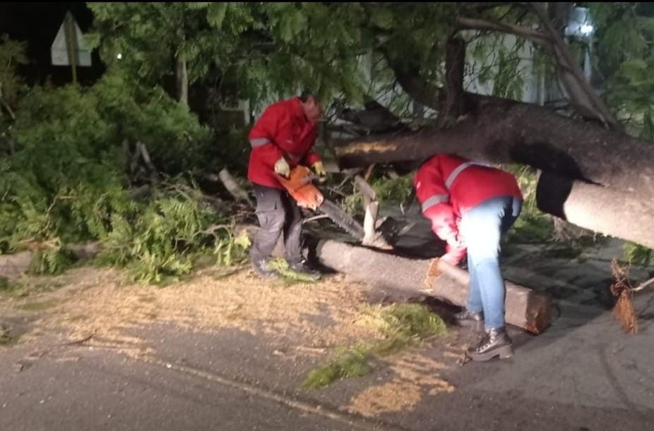 Córdoba: la tormenta produjo destrozos y dejó sin luz a 30 barrios | Córdoba
