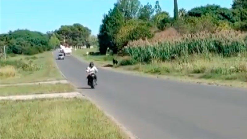 "Como no pudo moverme, comenzó a manosearme en el lugar": mujer denunció abuso al salir de su trabajo | Actualidad