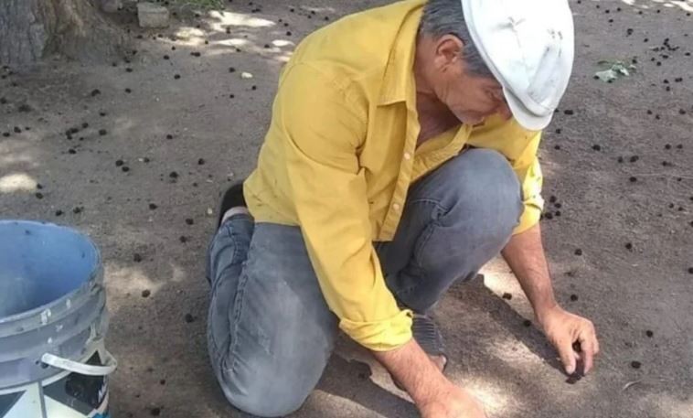 Un albañil demandará a su padre bodeguero por 100 millones de pesos | Córdoba