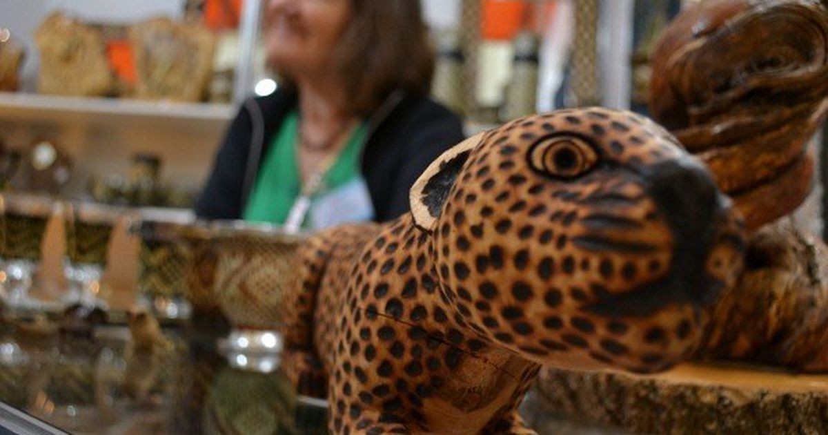 AgendacargadaactividadesdisfrutarSemanaSanta | Córdoba