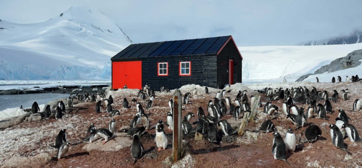 Búsqueda laboral en la Antártida: hasta US$ 2300 mensuales para ayudar a contar pingüinos | Actualidad