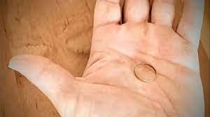 Encontró una alianza de compromiso en el fondo de un lago patagónico, encontró a la dueña y el final es inesperado | Actualidad