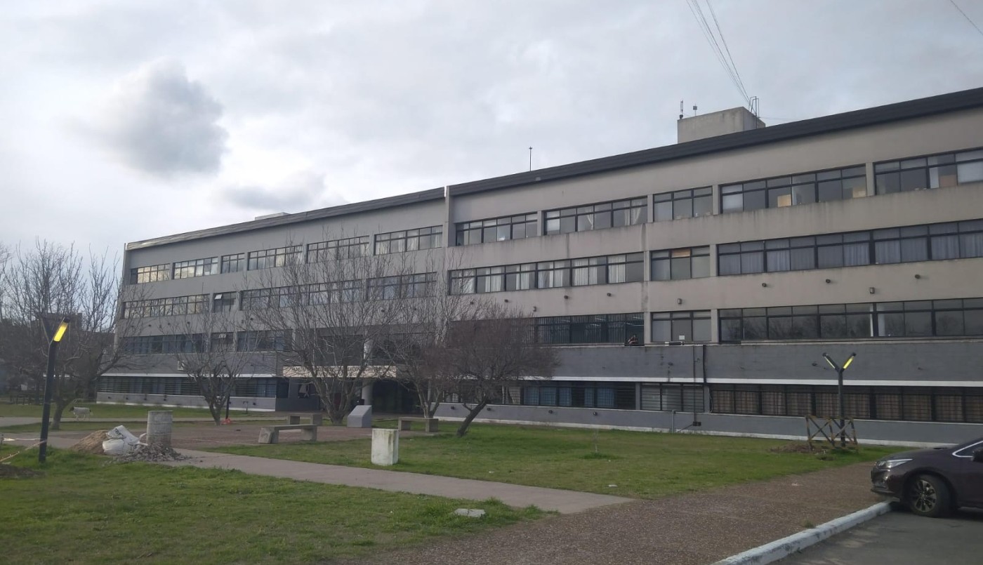 Universidad de La Plata otorgará el primer título "no binarie" | Actualidad