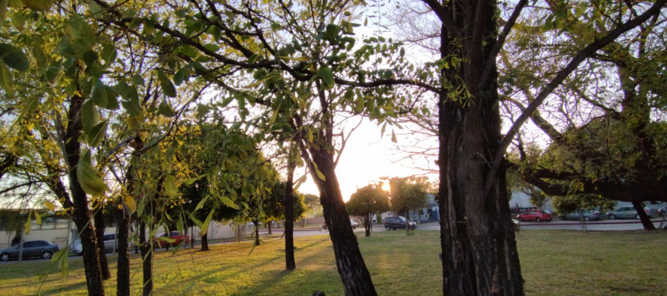 Soleado y frío, viento sur, descenso de temperatura, máxima 22° | Córdoba