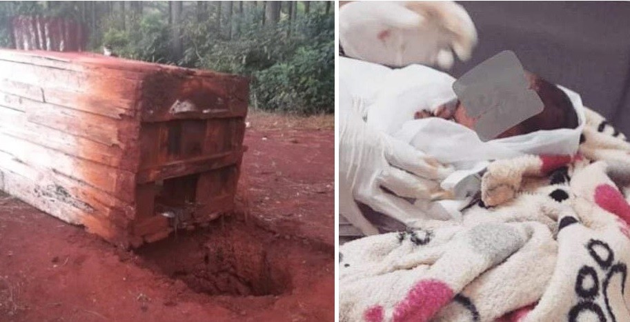 Rescataron a un recién nacido de una letrina | Actualidad