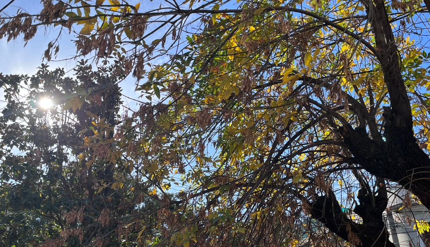 Domingo 8 de mayo con descenso de temperatura | Córdoba