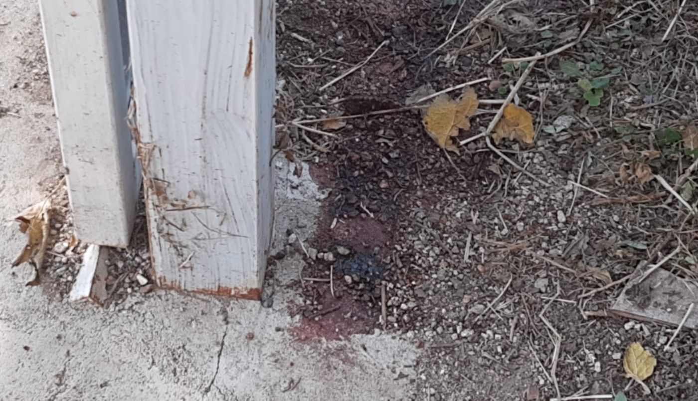 Liberan al vecino que mató al presunto ladrón en Villa Allende Parque | Córdoba