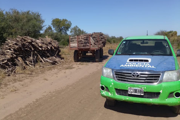 Policía Ambiental frenó intervenciones forestales en un predio de Las Arrias | Córdoba