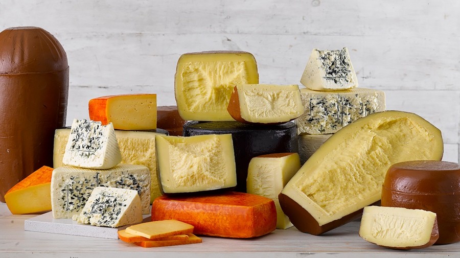 Inauguran la primera fábrica de América Latina en producir quesos 100% a base de plantas | Actualidad