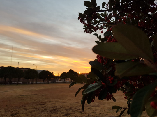 Frío, nublado, leve ascenso de temperatura, máxima 16° | Córdoba