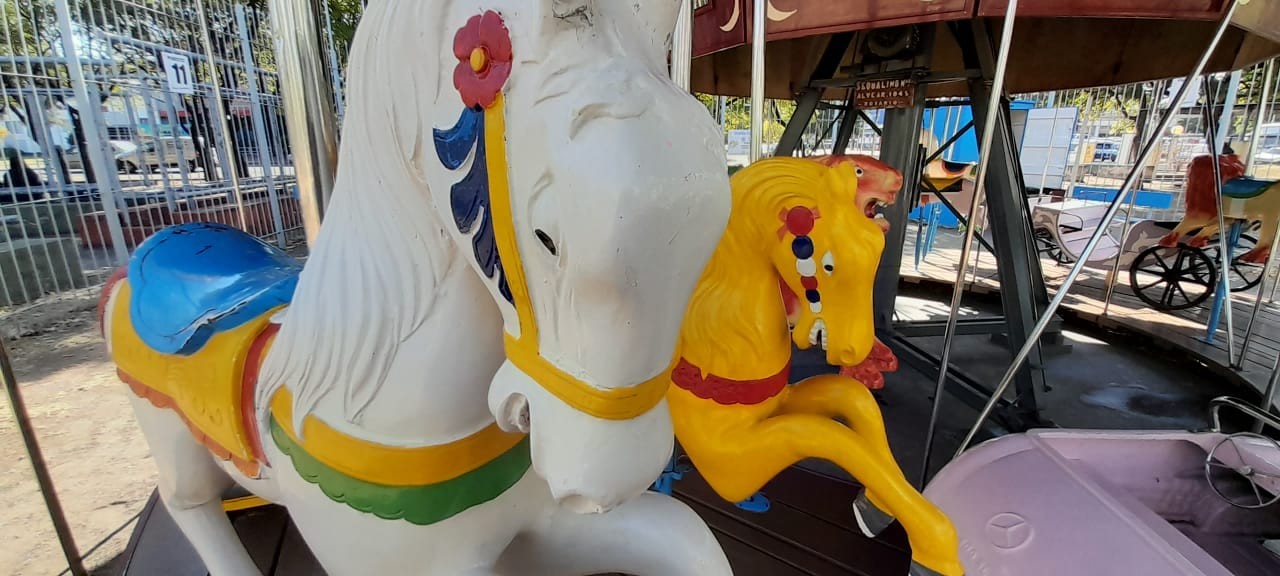 Iniciativa solidaria e inclusiva: calesitas para todos | Córdoba