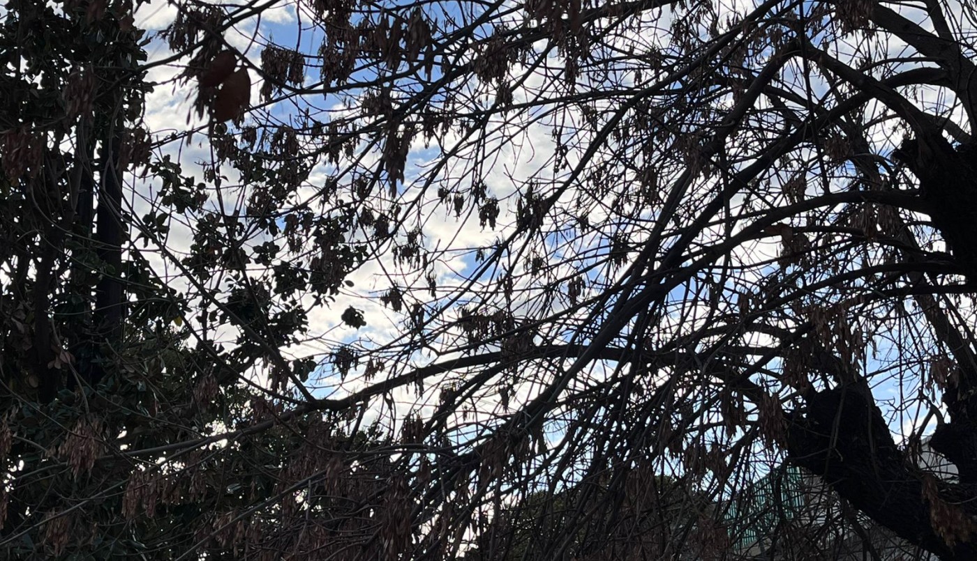 Domingo 29 de mayo: frío y húmedo | Córdoba