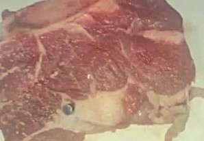 Compró carne, tenía una bala y preguntó si podía comerla | Actualidad