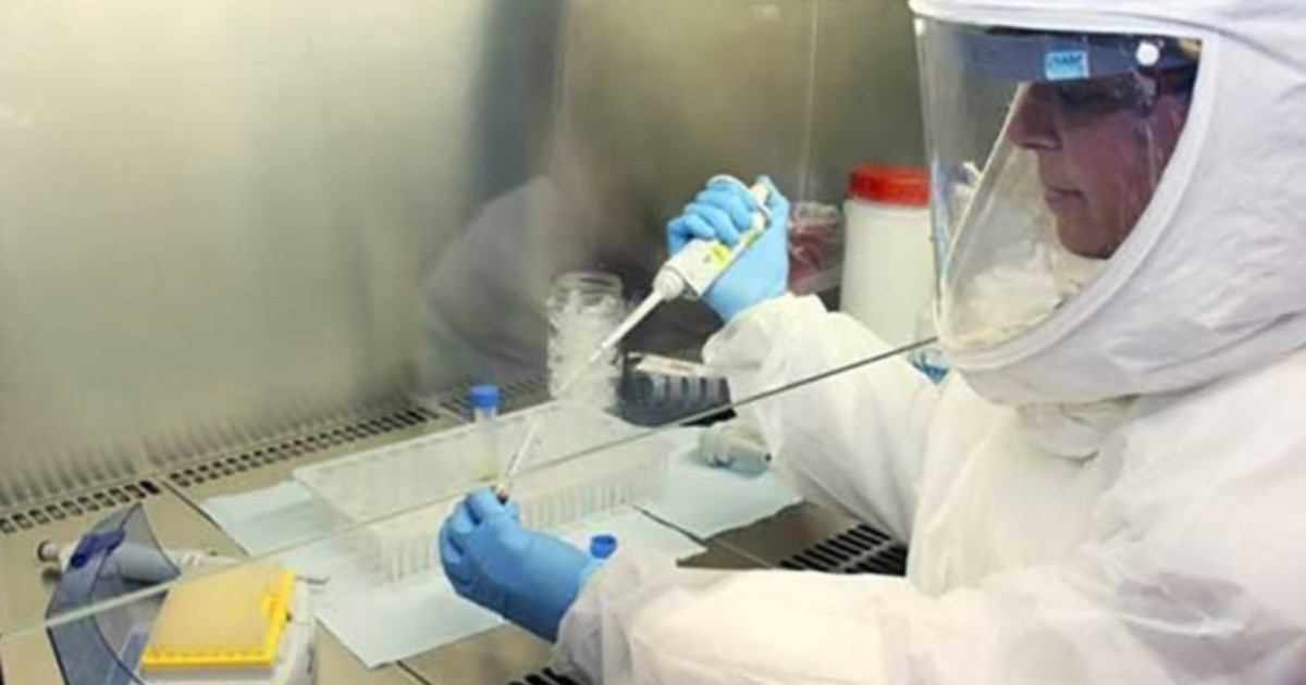 Evalúan nuevo caso sospechoso de viruela del mono en Mendoza | Actualidad