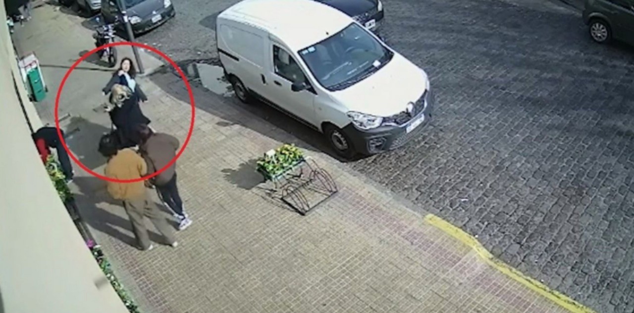 Cruzó mal la calle, discutió y recibió una paliza de la automovilista | Actualidad