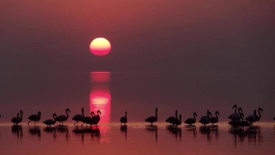 Parque Nacional Ansenuza: Córdoba inscripta en el turismo mundial | Córdoba