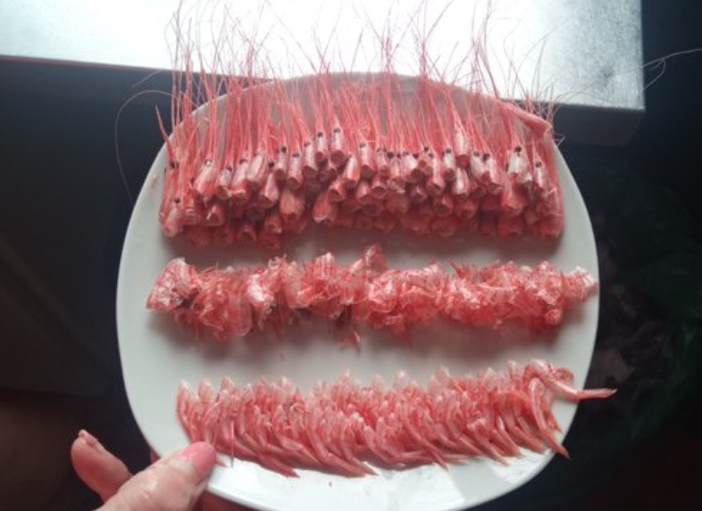 "Devolvió el plato así": comensal sorprendió al restaurante tras pedir camarones | Curiosidades