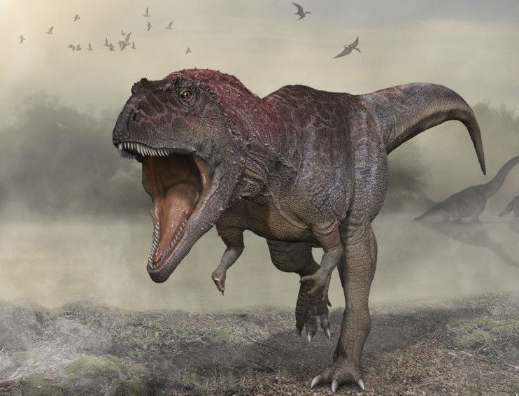 Meraxes Gigas: presentaron un nuevo dinosaurio carnívoro gigante hallado en la Argentina | Curiosidades