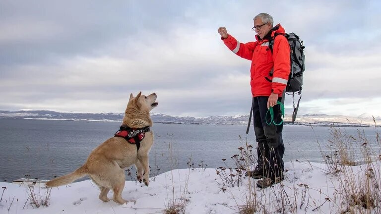 Un perro salvó a un esquiador en Ushuaia | Actualidad