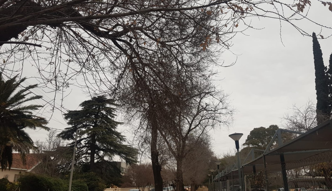 Tiempo en Córdoba: frio por la mañana, se esperan lluvias con una máxima de 15° | Córdoba