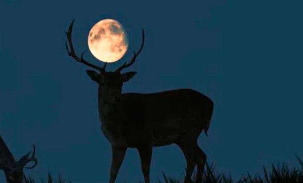 Superluna de ciervo 2022: Por qué se llama así y a qué hora verla | Curiosidades
