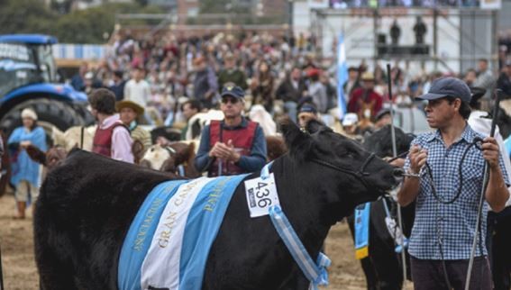 Comienza la Exposición Rural: la inauguración incluirá un show de drones y luces | Actualidad