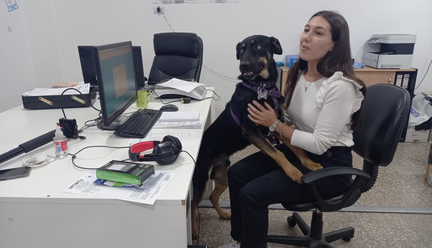 Una empresa de Córdoba permite a sus empleados ir a trabajar con mascotas | Córdoba