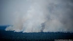 Un incendio "sin precedentes" afectó un bosque de Berlín tras la explosión de depósito de municiones | Internacionales