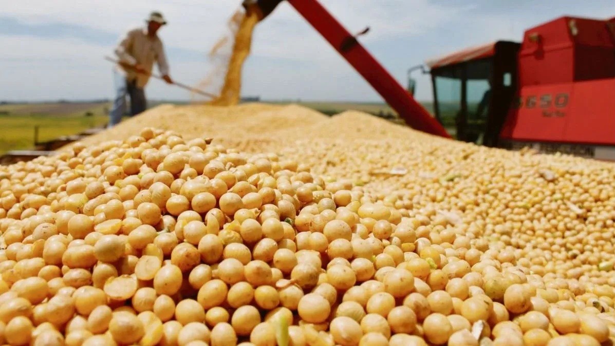 Qué es lo que el campo le reclama a Massa: el análisis de Gabriela Origlia | Córdoba