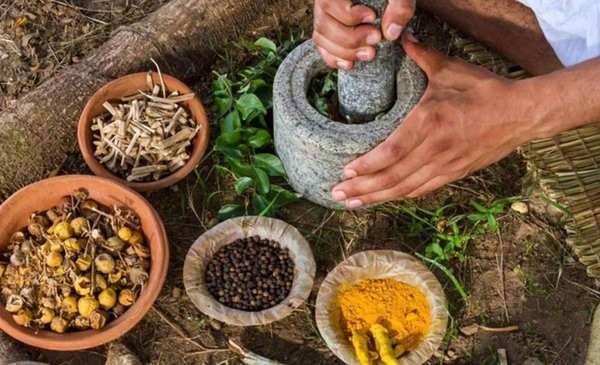 Misiones reconoció por ley a la medicina tradicional dentro del sistema público de salud | Actualidad