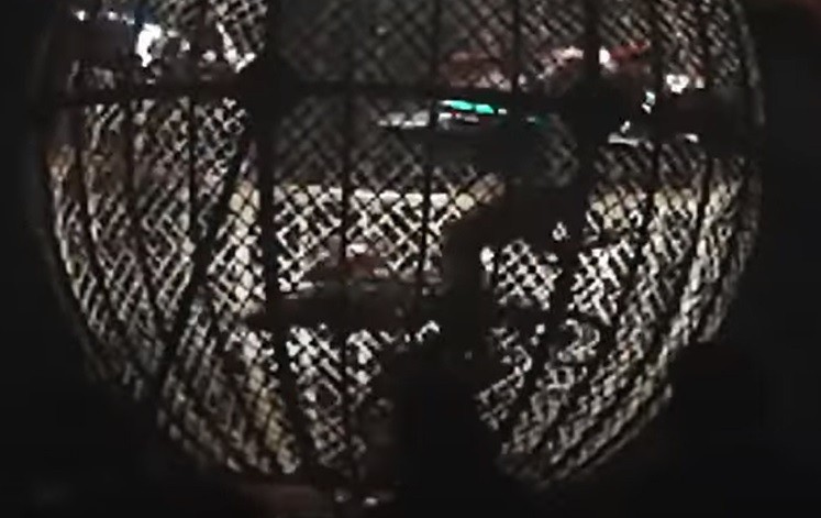 Video: impactante accidente de motos en el Globo de la Muerte | Actualidad