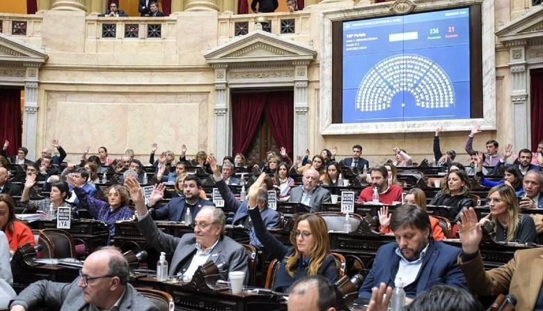 Diputados oficialistas exigen "identificar a los policías que reprimieron a Máximo Kirchner" | Actualidad