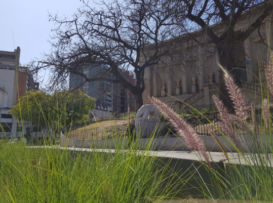 Buen tiempo, cálido, ascenso de temperatura, máxima de 25° | Clima, Naturaleza y Medio ambiente