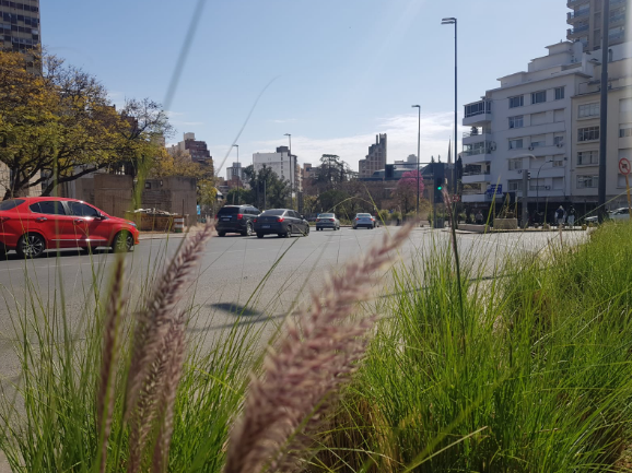 Buen tiempo, cálido, ascenso de temperatura, máxima de 20° | Clima, Naturaleza y Medio ambiente