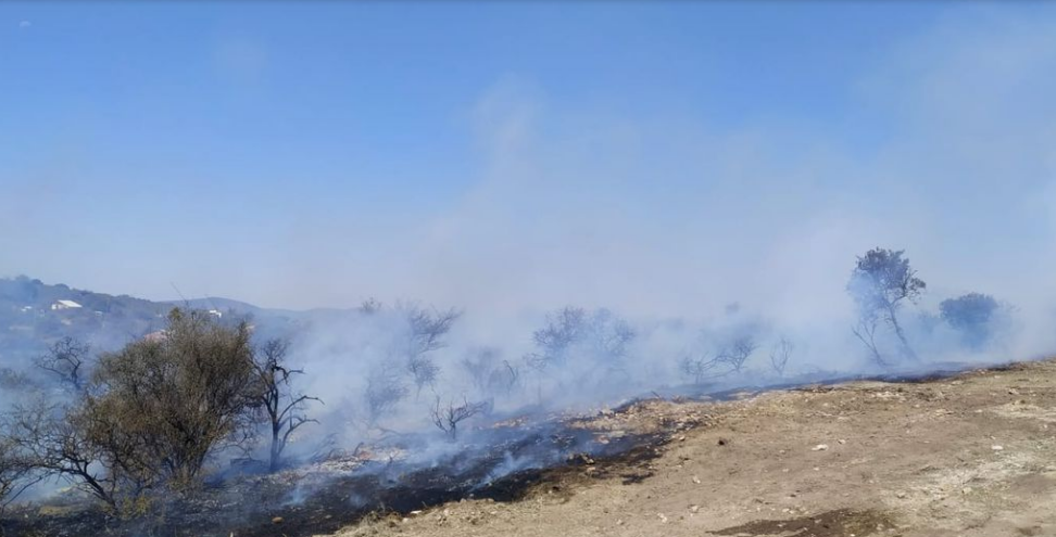 Por “hacer de comer”, un hombre arrasó con monte nativo | Córdoba