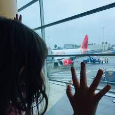 Insólito: una aerolínea avisó una semana después que nadie buscó a una menor que viajaba sola | Internacionales