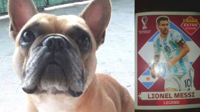 Un niño ofrece su figurita de Lionel Messi para recuperar el perro robado de su amiga | Actualidad
