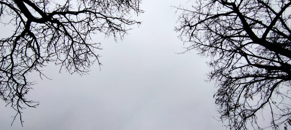 Debuta la primavera con lluvia y frío, máxima de 17° | Clima, Naturaleza y Medio ambiente