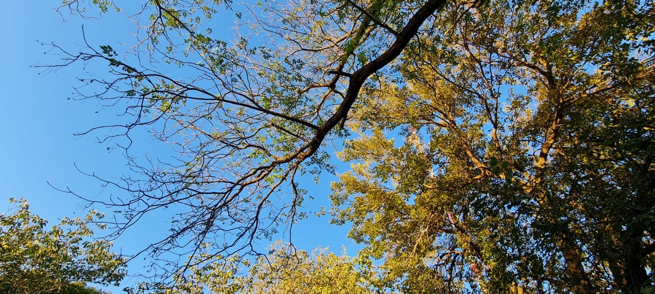 Fin de semana con sol y lluvia | Córdoba