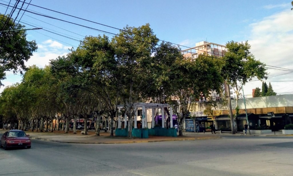 Buscan testigos por la muerte de un colectivero en Florencio Varela | Actualidad