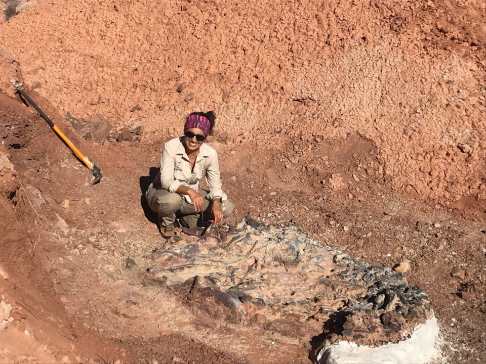 Cecilia Apaldetti, investigadora del Conicet: "Al bautizar un dinosaurio con nombre femenino rompimos la Matrix" | Actualidad