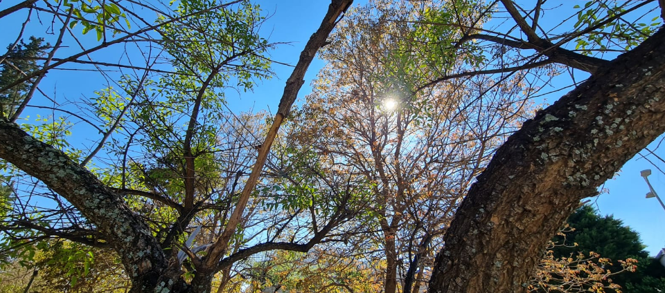 Cielo ligeramente nublado, ascenso de temperatura, máxima de 33° | Clima, Naturaleza y Medio ambiente